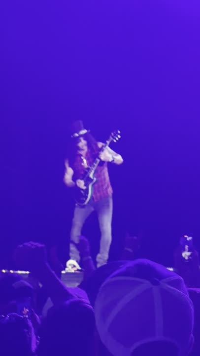 Guns N' Roses — Mr. Brownstone at Busch Stadium