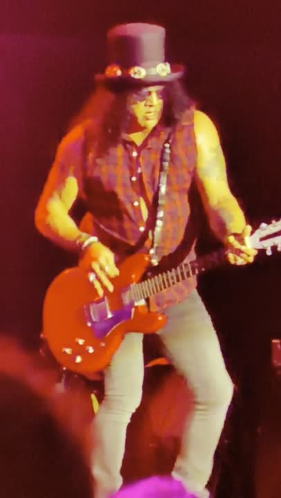 Guns N' Roses — Mr. Brownstone at Busch Stadium