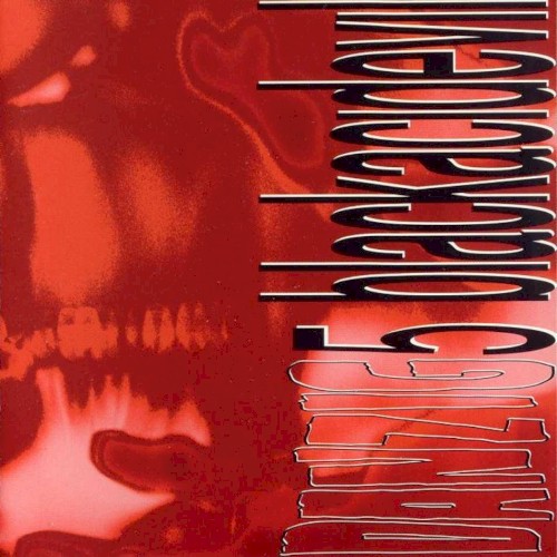 Danzig — Danzig 5: Blackacidevil