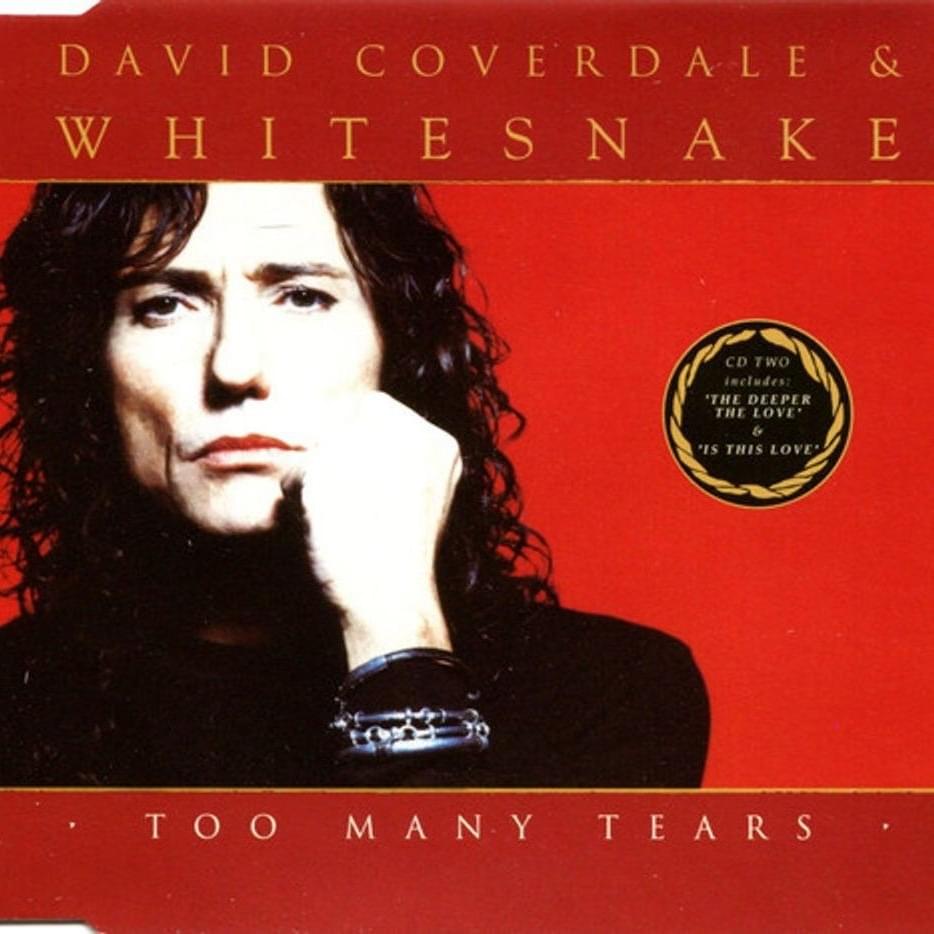 Photo 14 from David Coverdale