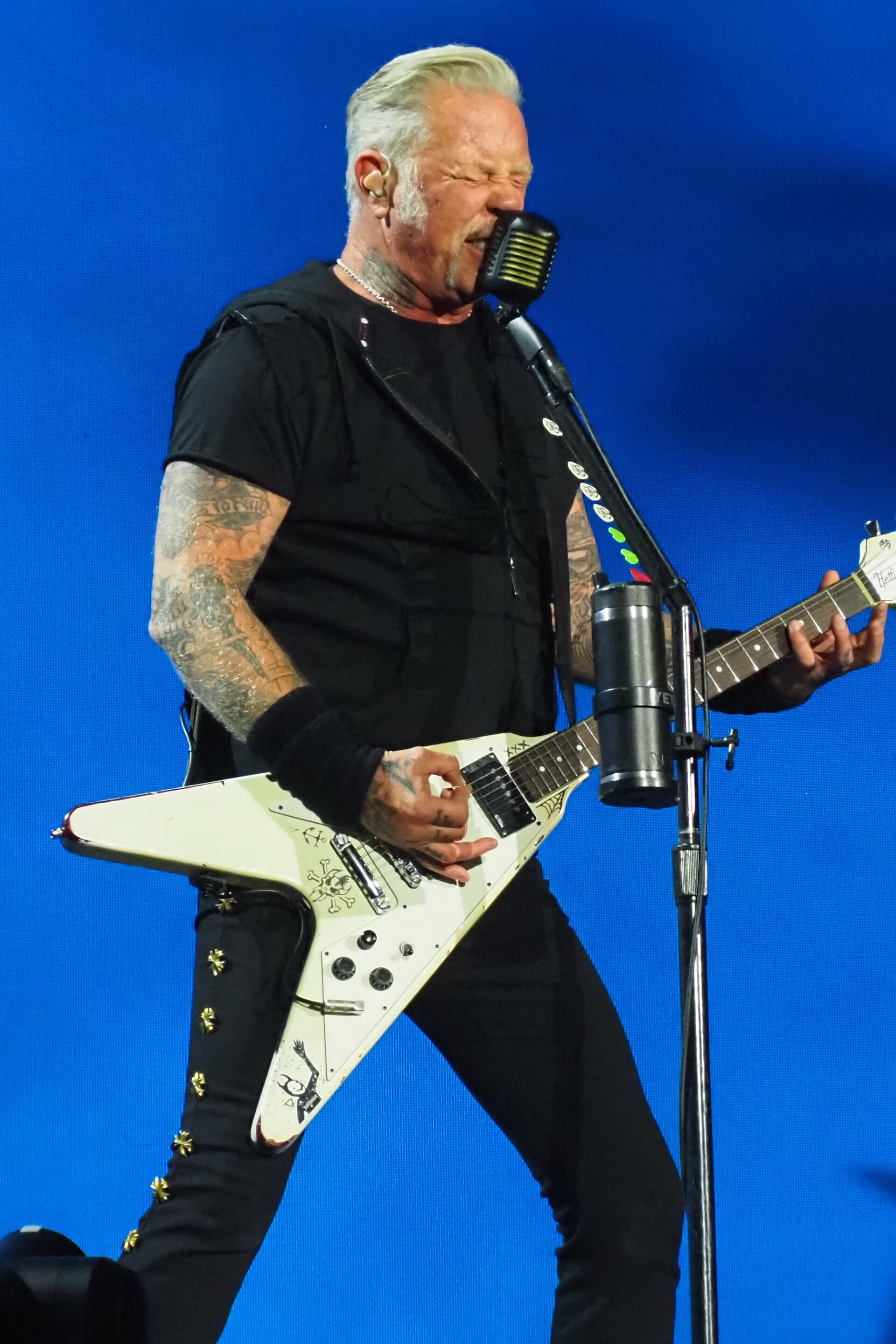 Photo 15 from James Hetfield