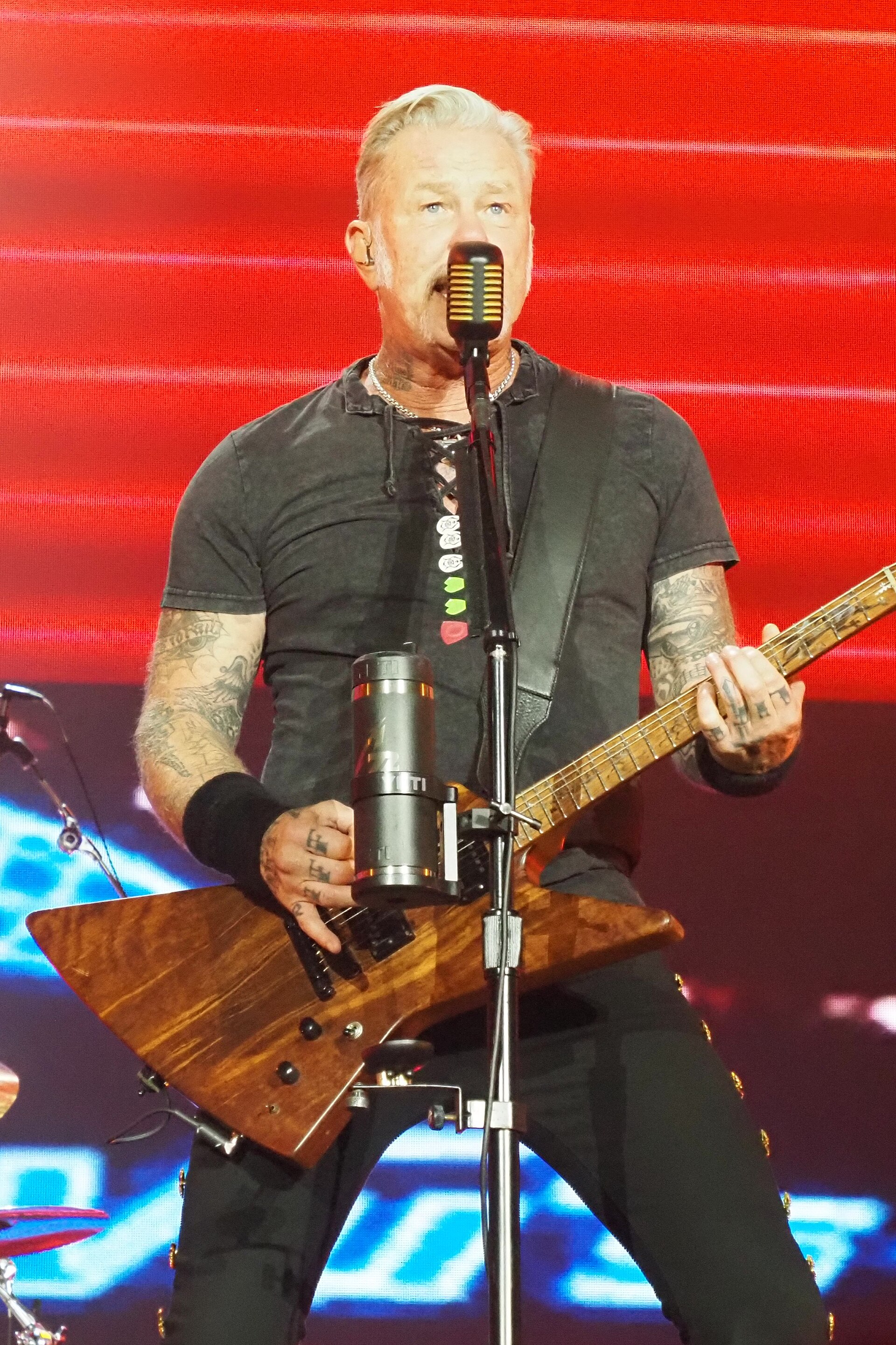 Photo 16 from James Hetfield