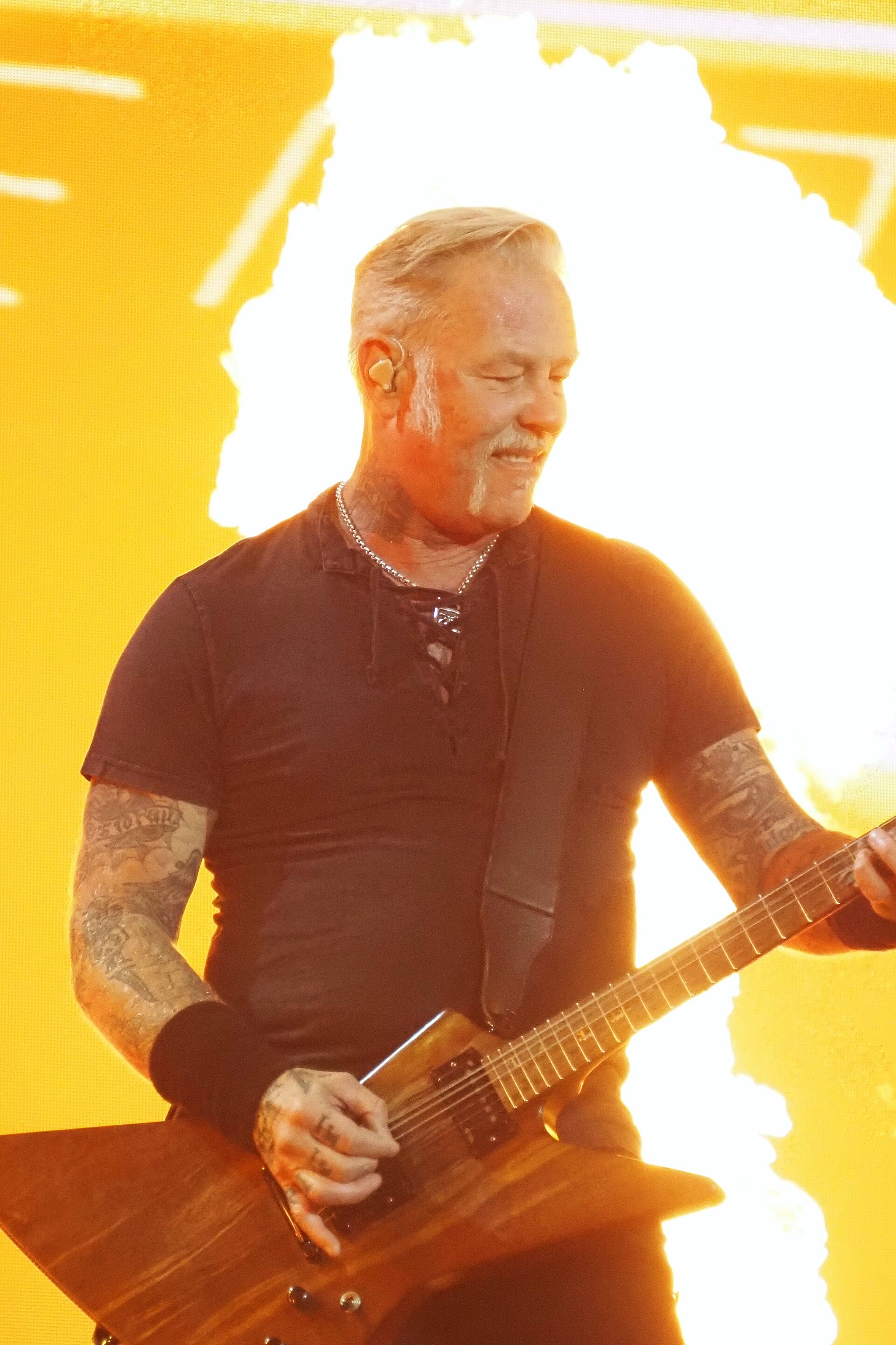 Photo 17 from James Hetfield