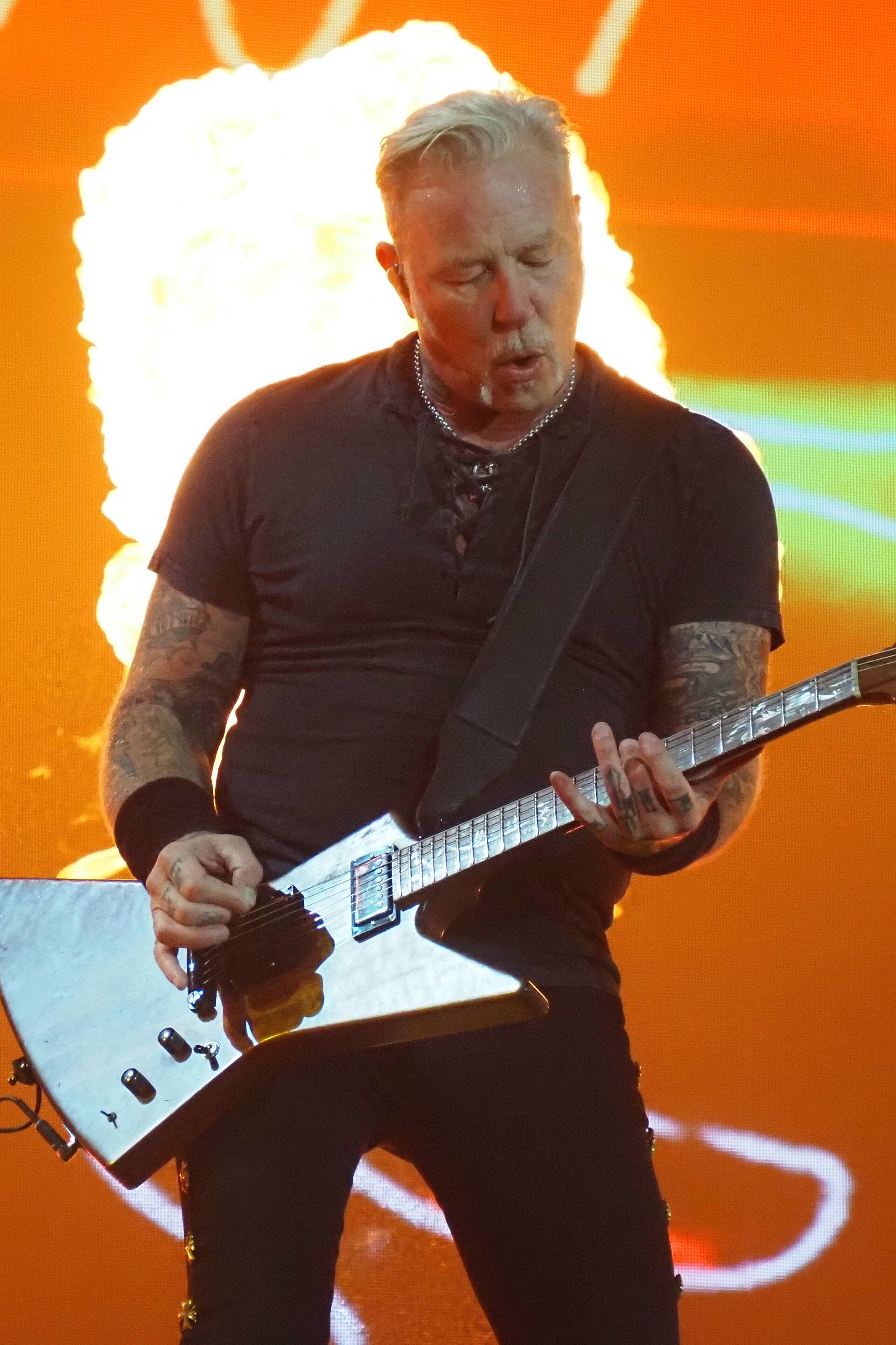 Photo 18 from James Hetfield