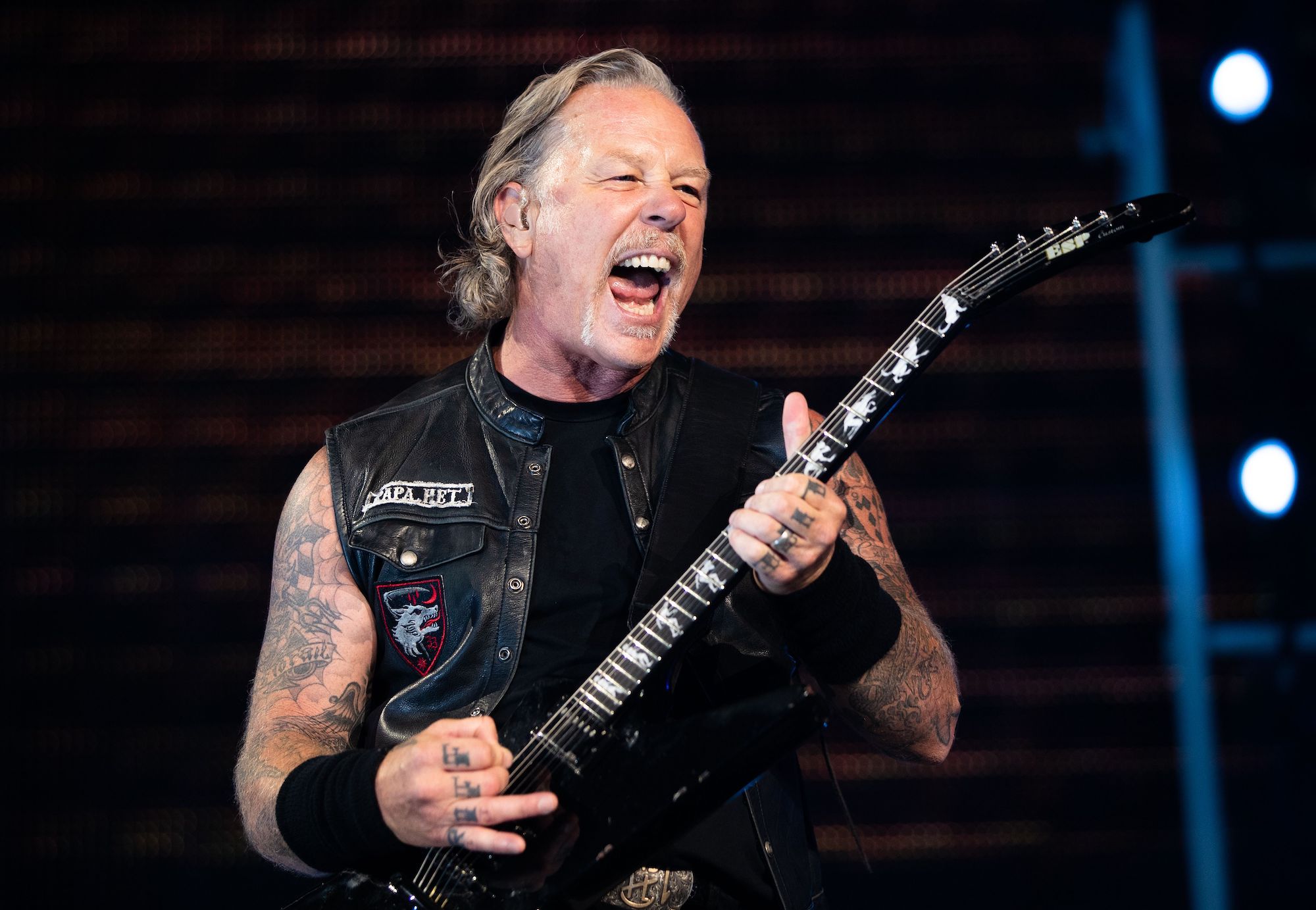Photo 5 from James Hetfield