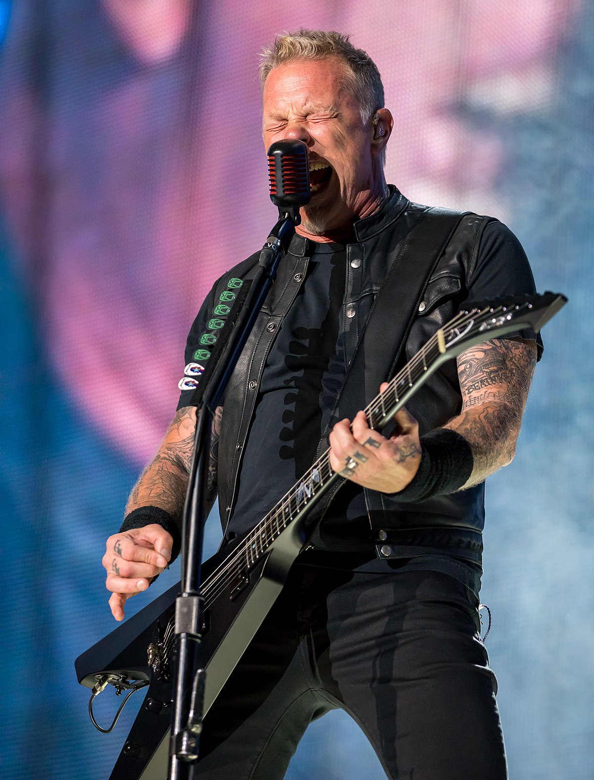 Photo 6 from James Hetfield