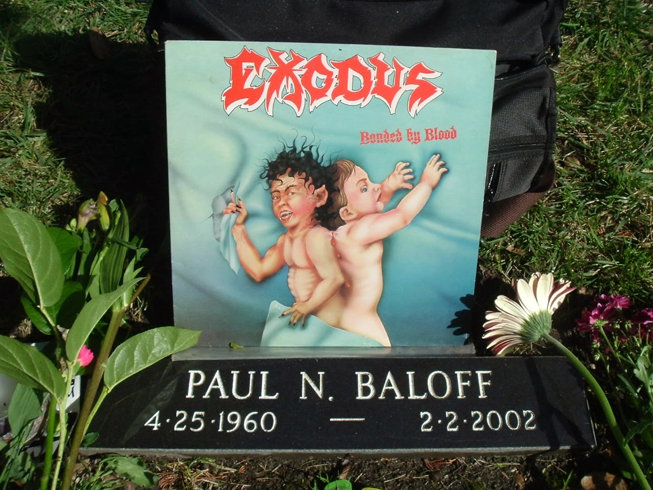 Photo 5 from Paul Baloff