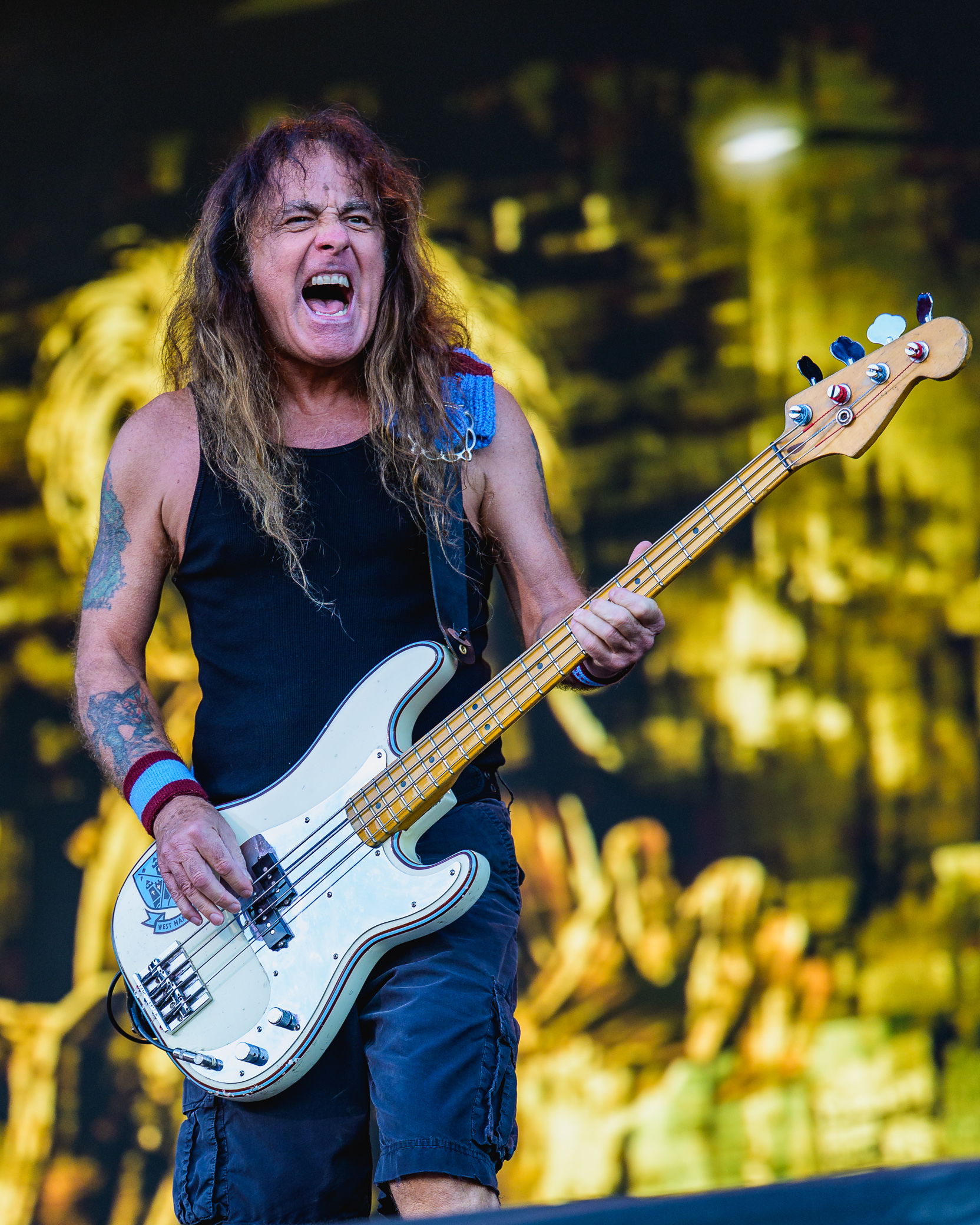 Photo 15 from Steve Harris