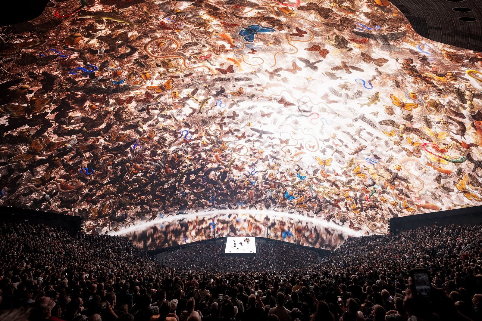 U2’s The Edge on The Sphere’s Opening Night: ‘This Is Definitely ...